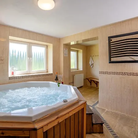 Janka Apartament Żegiestów