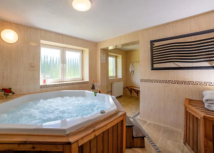 Janka 公寓 Żegiestów